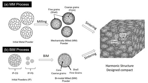 Harmonic Structure Design: A Strategy for Outstanding Mechanical ...