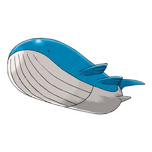 Вэйлорд в Pokemon GO: эволюция, атаки и описание