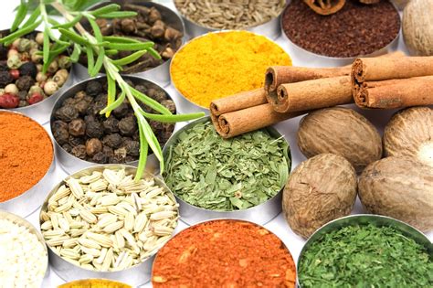 10 Herbs and Spices EVERY Kitchen Needs – Better HouseKeeper