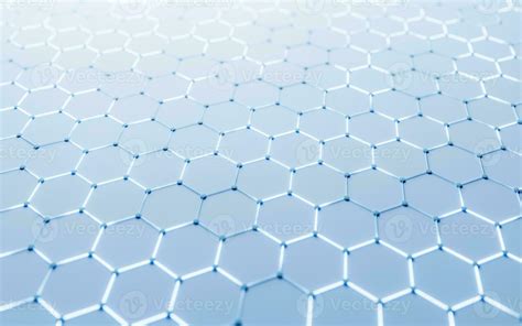 Image result for Hexagonal Structure Animals