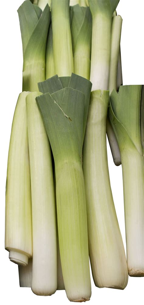 Can You Eat Raw Leeks? - Healthier Steps
