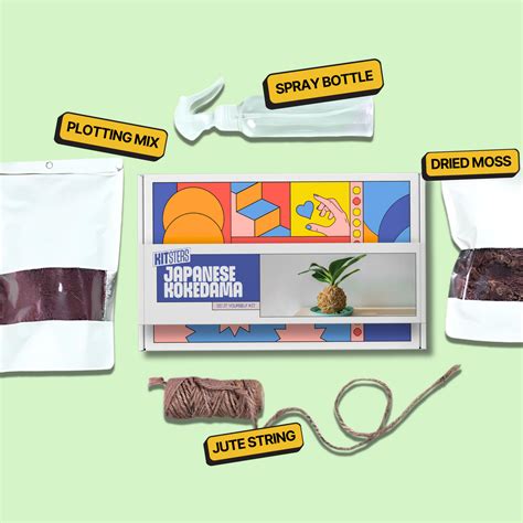 DIY Japanese Kokedama Kit | Fun Gardening DIY Kits | Kitsters