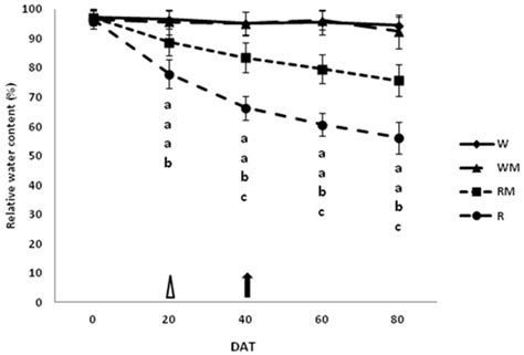 Agronomy | Special Issue : Agricultural Water Conservation: Tools ...