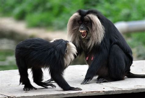 Nikon 3300 is a great entry level camera at affordable price ...