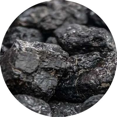 Shilajit (Asphaltum) – Millennium Herbal Care Limited
