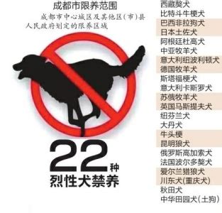 【扩散】大赤峰关于养犬的“五个严禁” 你知道吗？_市民