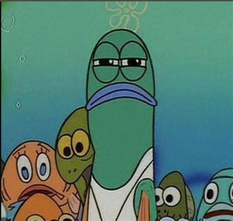Spongebob fish looks Memes - Imgflip