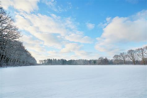 Rare frost quake phenomenon possible this weekend with frigid cold