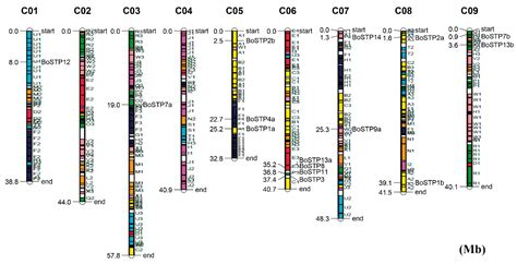 Genome-Wide Identification and Expression Profiling of Sugar ...