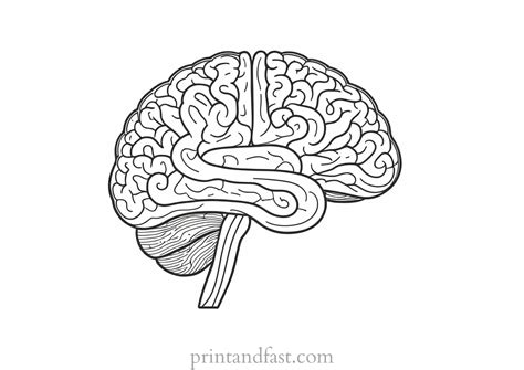Printable Brain Coloring Page - Printable Templates