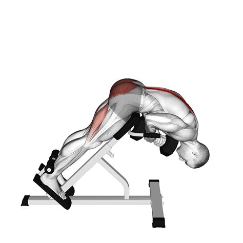 5 Best Lower Back Exercises With Dumbbells (with Workout Program ...