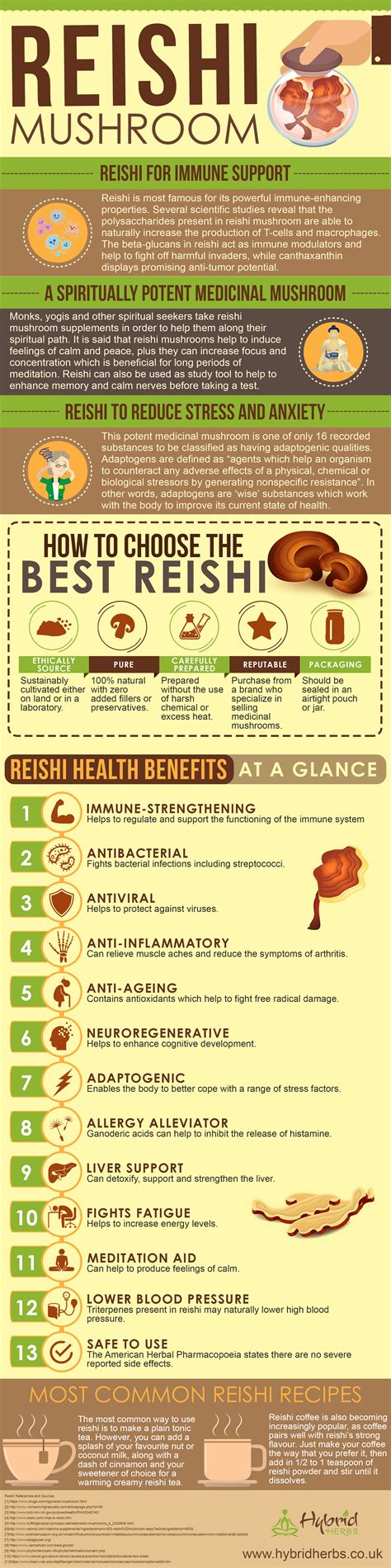 Reishi Mushroom Tea Benefits For Hair at Hilda Connor blog