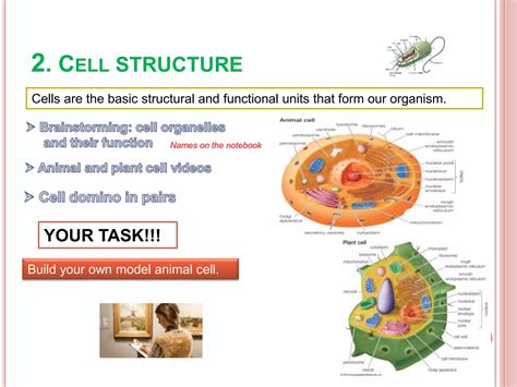 Unit1: Organisation of Human Body | PPTX