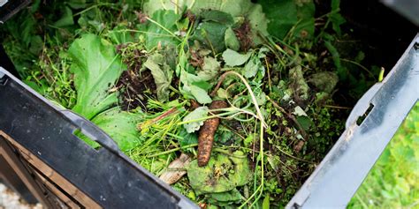 Image result for Images of Sheet Composting Method