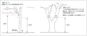 Image result for How Update Values in Table SQL Database Syntax