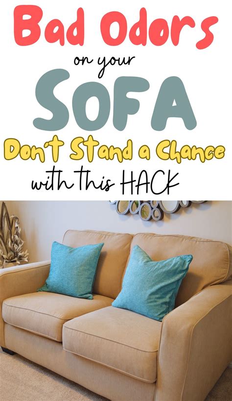 10 Simple Sofa Smell Removal Tips | Cleaning couch cushions, Best couch ...