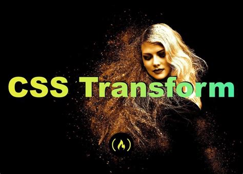 Image result for HTML/CSS Java Transform Fun