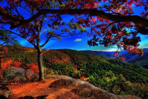 Nature Landscape Pictures 的图像结果