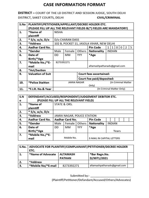 Case Identifier Example 的图像结果