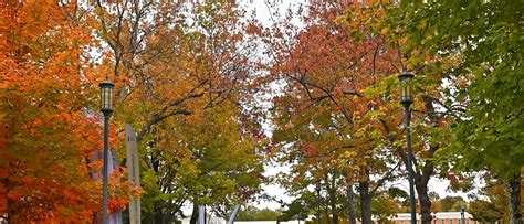UNC Charlotte Academic Policy: Academic Calendar - Office of the Provost