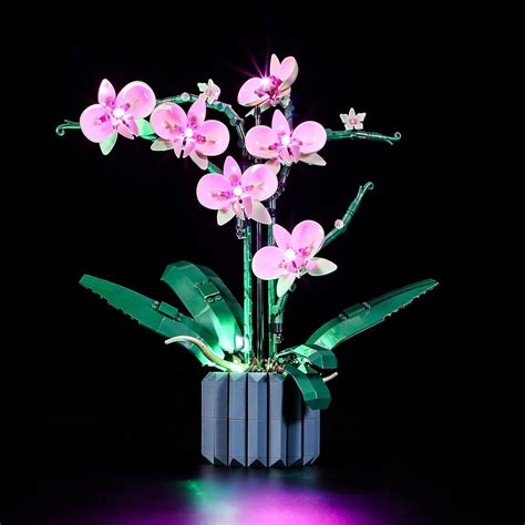 Buy Lightailing Light for Lego-10311 Orchid - Led Lighting Kit ...