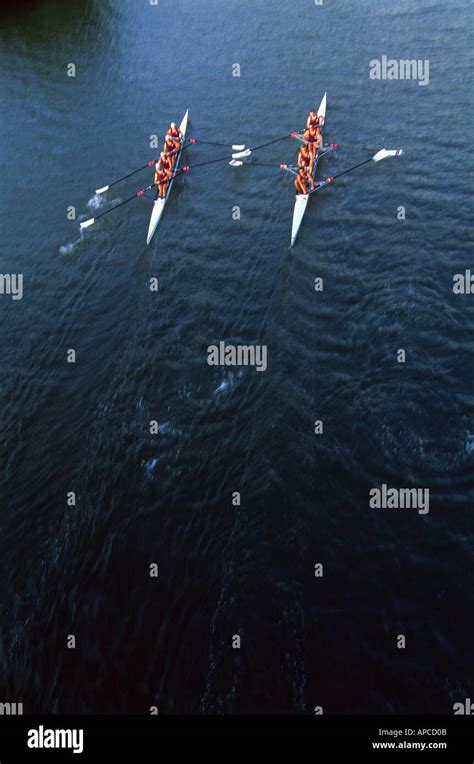 Rowing Sport 的图像结果