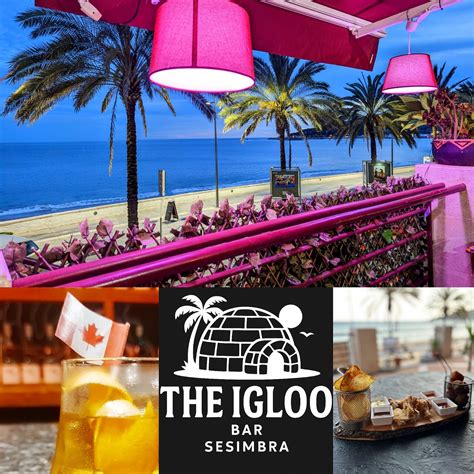 THE IGLOO BAR, Sesimbra - Restaurant Reviews & Photos - Tripadvisor