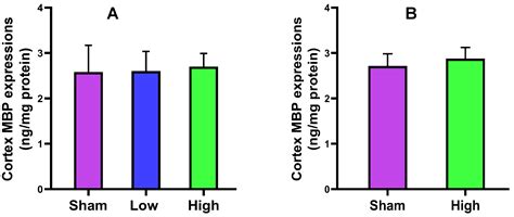 Safety of Special Waveform of Transcranial Electrical Stimulation (TES ...