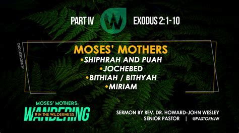 Alfred Street Baptist Church | Part 4: Moses’ Mothers