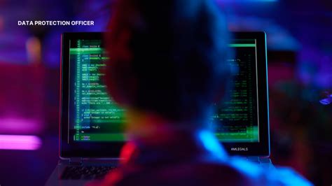 Image result for Role of Data Protection Officer Simple Explanation