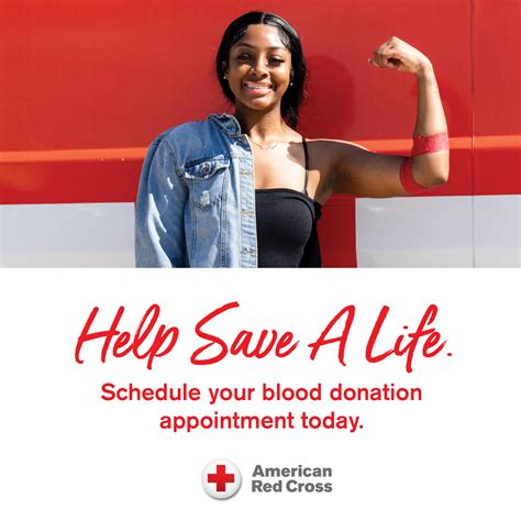 Willmar Public Library | Adult Services