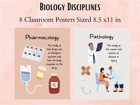 Biology Poster-Making 的图像结果