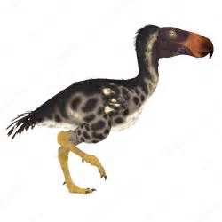 新西兰南岛首次发现数百万年前“恐鸟”(moa)脚印化石 - 神秘的地球 科学|自然|地理|探索