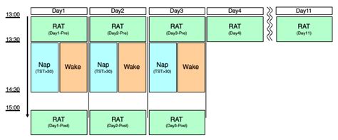 Potential Benefits of Daytime Naps on Consecutive Days for Motor ...