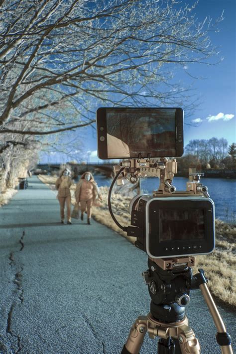 Infrared Video Editing 的图像结果