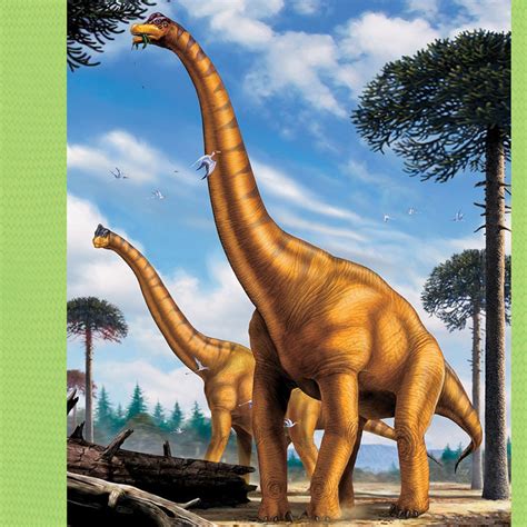 Long Neck Brachiosaurus Dinosaur