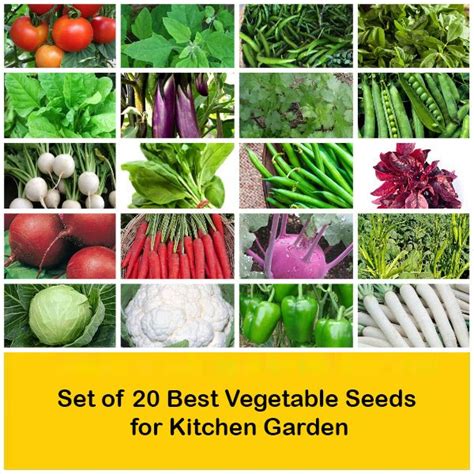 Buy Set of 20 Best Vegetable Seeds for Kitchen Garden online from ...