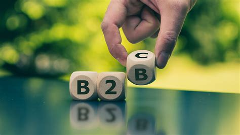 What Are the Differences between B2C and B2B E-Commerce? | Dinarys