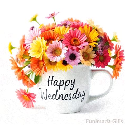 Happy Wednesday Mid-Week Delight GIF - Download on Funimada.com