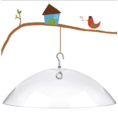 Image result for Squirrel Protector