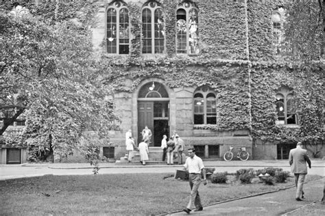 Why Do We Call Them ‘Ivy League’ Schools? — History Facts