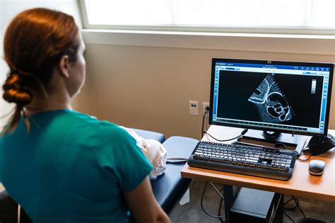 Sonography | Academic and Career Programs | Austin Community College ...