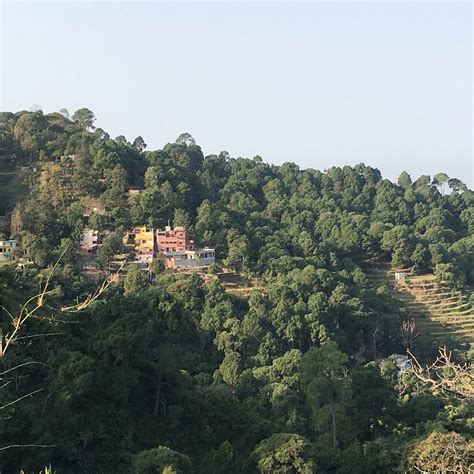 ROYAL HUTS RESORT (Morni Hills) - Hotel Reviews, Photos, Rate ...