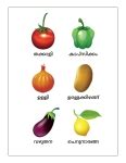 Learning Vegetables (Free Common and Advanced Vegetables Charts) – in ...
