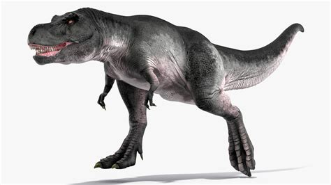 3D T Rex Running Animated Rigged for Maya model | 3D Molier International