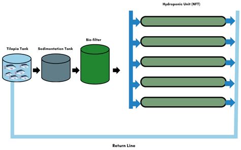Sustainability of Growth Performance, Water Quality, and Productivity ...