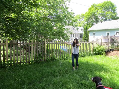 Science of Bubbles 的图像结果