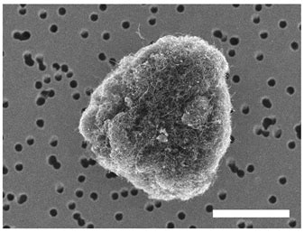 Correction: Meyer-Plath et al. A Practicable Measurement Strategy for ...