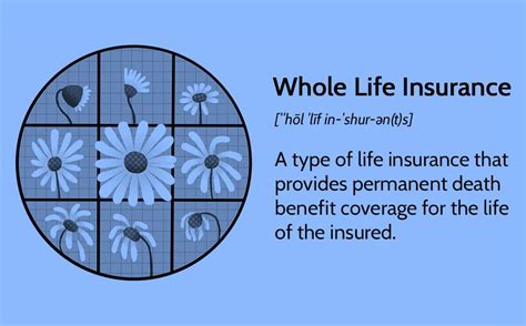 All into Life Insurance 的图像结果