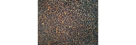 Wayanad Spices & Natural Products | Shop Direct from Farm – shop ...